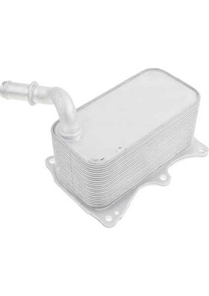 M276 Motor Radyatörü Için A2761880001 (Yurt Dışından) indirimleri