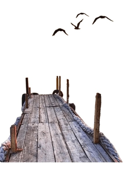 Yeni Dijital Yağlıboya Retro Sanat Kültür Dijital Yağlıboya El Yapımı Yetişkin Çocuk Hediye Duvar Dekorasyonu Dijital Sanat (Yurt Dışından)