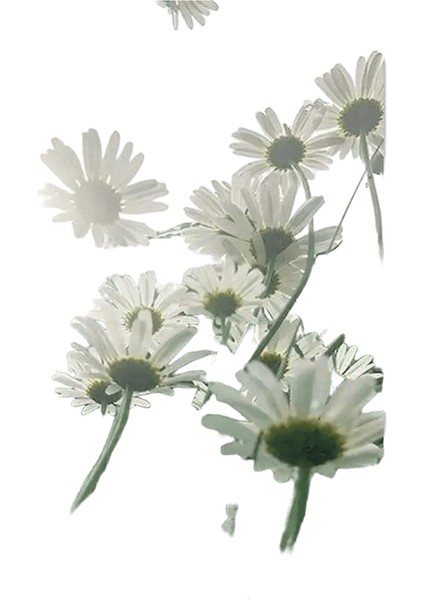 Yeni Dijital Yağlıboya Retro Sanat Kültür Dijital Yağlıboya El Yapımı Yetişkin Çocuk Hediye Duvar Dekorasyonu Dijital Sanat (Yurt Dışından)