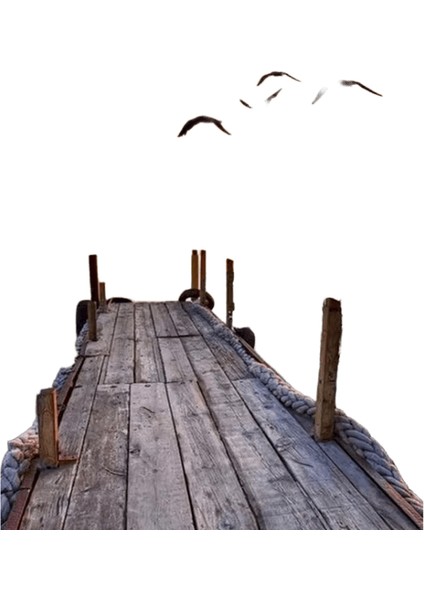 Yeni Dijital Yağlıboya Retro Sanat Kültür Dijital Yağlıboya El Yapımı Yetişkin Çocuk Hediye Duvar Dekorasyonu Dijital Sanat (Yurt Dışından)