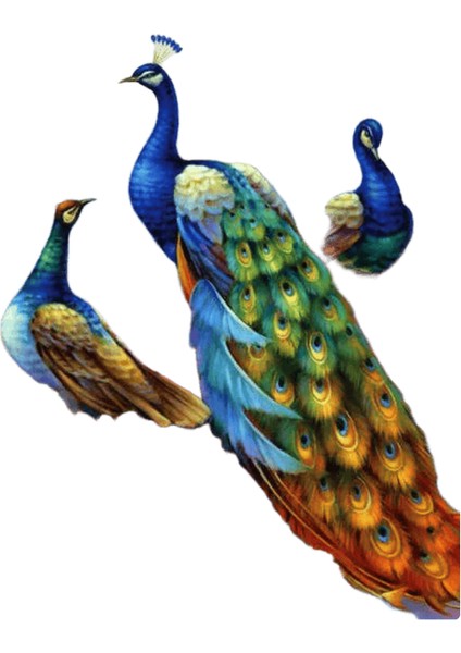 Yeni Dijital Yağlıboya Retro Sanat Kültür Dijital Yağlıboya El Yapımı Yetişkin Çocuk Hediye Duvar Dekorasyonu Dijital Sanat (Yurt Dışından)