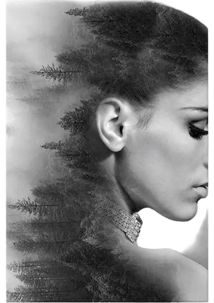 Yeni Dijital Yağlıboya Retro Sanat Kültür Dijital Yağlıboya El Yapımı Yetişkin Çocuk Hediye Duvar Dekorasyonu Dijital Sanat (Yurt Dışından)