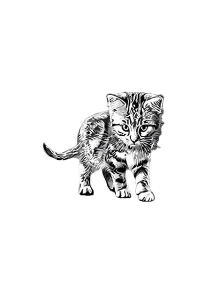 Yeni Dijital Yağlıboya Retro Sanat Kültür Dijital Yağlıboya El Yapımı Yetişkin Çocuk Hediye Duvar Dekorasyonu Dijital Sanat (Yurt Dışından)