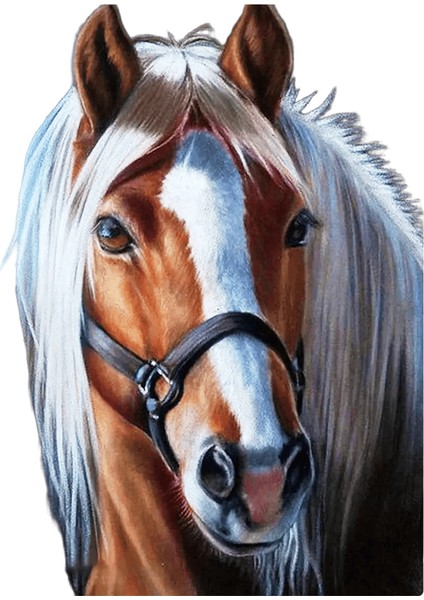 Yeni Dijital Yağlıboya Retro Sanat Kültür Dijital Yağlıboya El Yapımı Yetişkin Çocuk Hediye Duvar Dekorasyonu Dijital Sanat (Yurt Dışından)