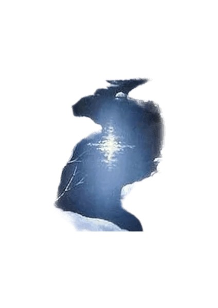 Yeni Dijital Yağlıboya Retro Sanat Kültür Dijital Yağlıboya El Yapımı Yetişkin Çocuk Hediye Duvar Dekorasyonu Dijital Sanat (Yurt Dışından)