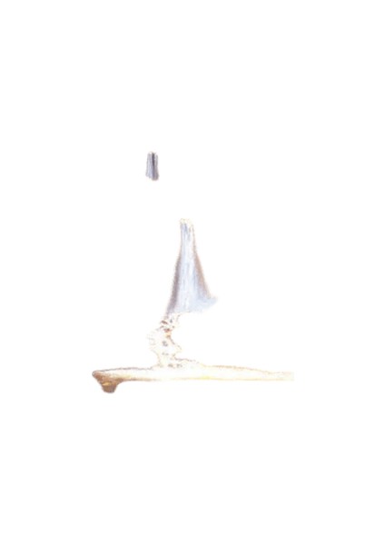 Yeni Dijital Yağlıboya Retro Sanat Kültür Dijital Yağlıboya El Yapımı Yetişkin Çocuk Hediye Duvar Dekorasyonu Dijital Sanat (Yurt Dışından)