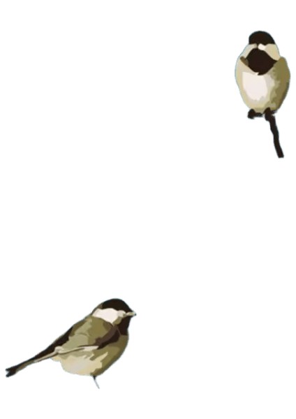 Yeni Dijital Yağlıboya Retro Sanat Kültür Dijital Yağlıboya El Yapımı Yetişkin Çocuk Hediye Duvar Dekorasyonu Dijital Sanat (Yurt Dışından)