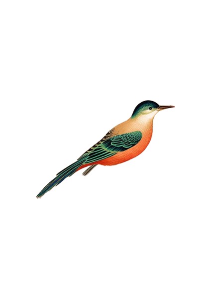 Yeni Dijital Yağlıboya Retro Sanat Kültür Dijital Yağlıboya El Yapımı Yetişkin Çocuk Hediye Duvar Dekorasyonu Dijital Sanat (Yurt Dışından)