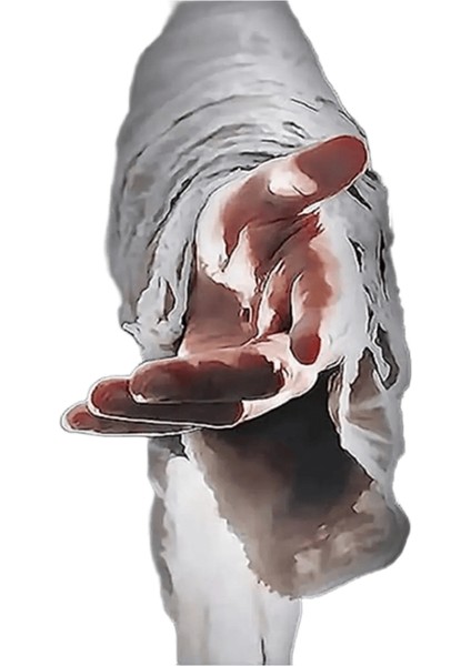 Yeni Dijital Yağlıboya Retro Sanat Kültür Dijital Yağlıboya El Yapımı Yetişkin Çocuk Hediye Duvar Dekorasyonu Dijital Sanat (Yurt Dışından)