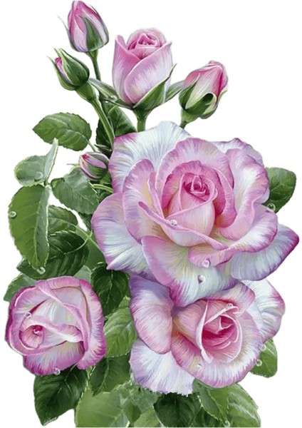 Yeni Dijital Yağlıboya Retro Sanat Kültür Dijital Yağlıboya El Yapımı Yetişkin Çocuk Hediye Duvar Dekorasyonu Dijital Sanat (Yurt Dışından)