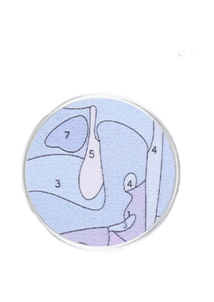 Yeni Dijital Yağlıboya Retro Sanat Kültür Dijital Yağlıboya El Yapımı Yetişkin Çocuk Hediye Duvar Dekorasyonu Dijital Sanat (Yurt Dışından)