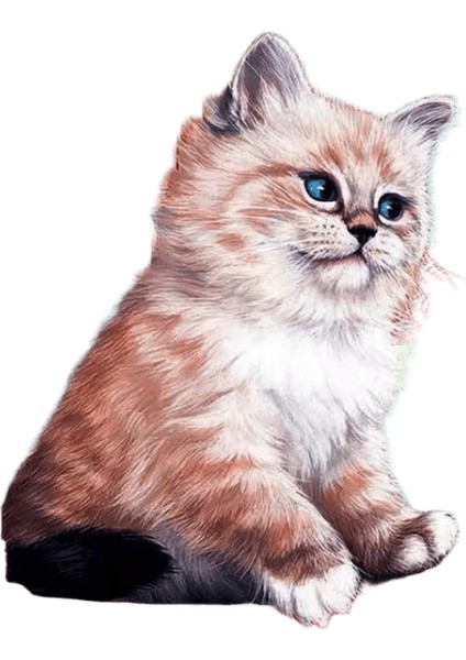 Yeni Dijital Yağlıboya Retro Sanat Kültür Dijital Yağlıboya El Yapımı Yetişkin Çocuk Hediye Duvar Dekorasyonu Dijital Sanat (Yurt Dışından)