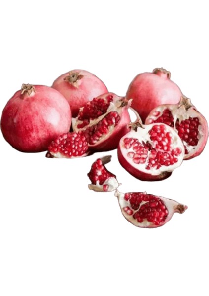 Yeni Dijital Yağlıboya Retro Sanat Kültür Dijital Yağlıboya El Yapımı Yetişkin Çocuk Hediye Duvar Dekorasyonu Dijital Sanat (Yurt Dışından)