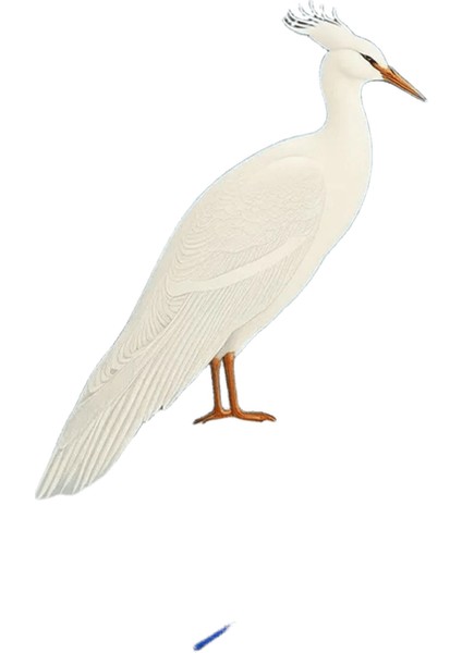 Yeni Dijital Yağlıboya Retro Sanat Kültür Dijital Yağlıboya El Yapımı Yetişkin Çocuk Hediye Duvar Dekorasyonu Dijital Sanat (Yurt Dışından)