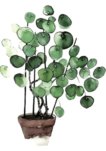 Yeni Dijital Yağlıboya Retro Sanat Kültür Dijital Yağlıboya El Yapımı Yetişkin Çocuk Hediye Duvar Dekorasyonu Dijital Sanat (Yurt Dışından)