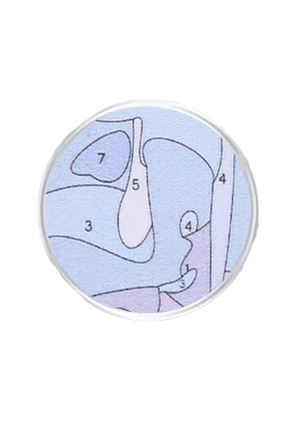 Yeni Dijital Yağlıboya Retro Sanat Kültür Dijital Yağlıboya El Yapımı Yetişkin Çocuk Hediye Duvar Dekorasyonu Dijital Sanat (Yurt Dışından)