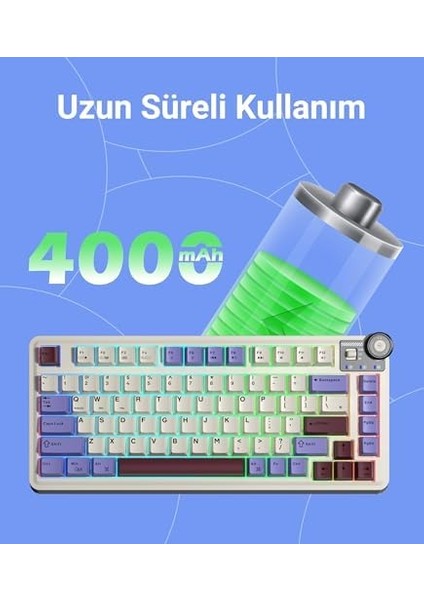 AU75 3 Modlu Rgb Hot Swap Mekanik Tkl Seiya Switch Kablosuz Makrolu Klavye Siyah