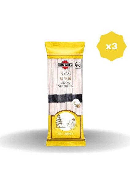 Udon Noodle 300 gr - (3 Adet)