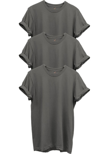 3'lü Antrasit Gri %100 Pamuk Regular Fit Bisiklet Yaka Premium T-Shirt