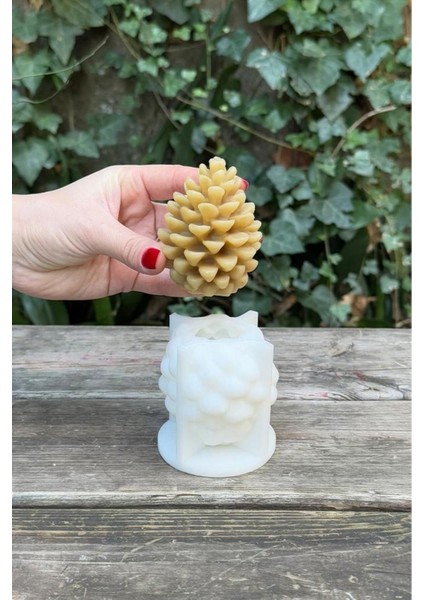 Kozalak Silikon Mum Kalıbı fiyatları