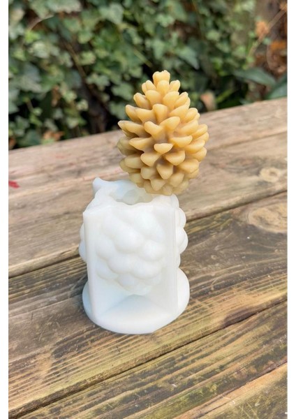 Kozalak Silikon Mum Kalıbı modelleri