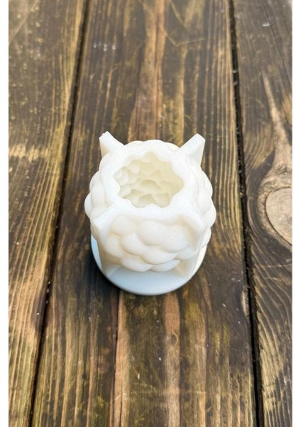 Kozalak Silikon Mum Kalıbı