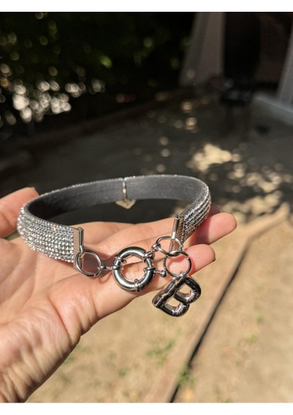 Taşlı Köpek Kolye Tasma Aksesuarı (Istediğiniz Harfi Mesaj Olarak Belirtin) modelleri