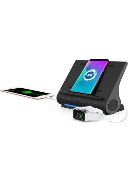 D115 Kablosuz Hızlı Şarjlı Şarj Özellikli Bluetooth Premium Hoparlör Siyah
