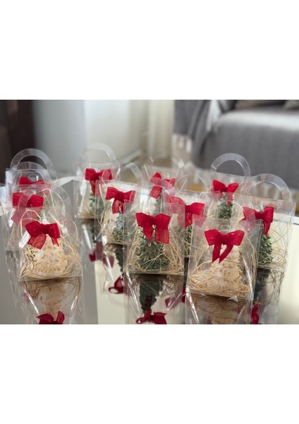 Yılbaşı Hediyesi Çam Ağacı Dekoratif 2'li Şeffaf Çantada Hediyelik Mum Yeşil Beyaz