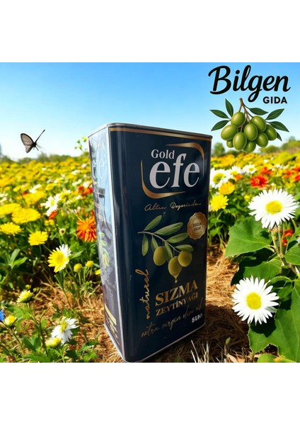 Sızma Zeytinyağı
