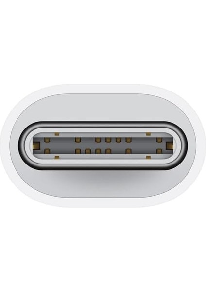 Type-C To Lightning Şarj Çevirici iPhone Uyumlu USB C Adaptör (Sadece Şarj Için) - (SW-TL01)
