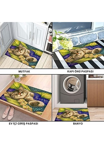 Tasarımlı Dekoratif Kapı Önü Paspas, Dış Mekan/ ev Içi/ banyo/ mutfak/ yatak Odası/ giriş Paspasları (Pastel Boyama Cat, 45X70)