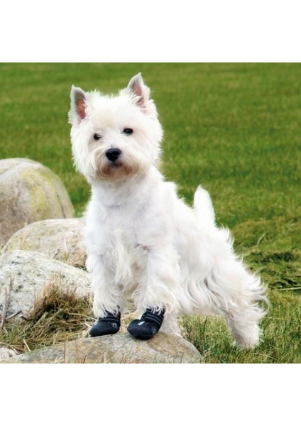 Köpek Yürüyüş Botu 2 Adet M-L Siyah Dpmah modelleri