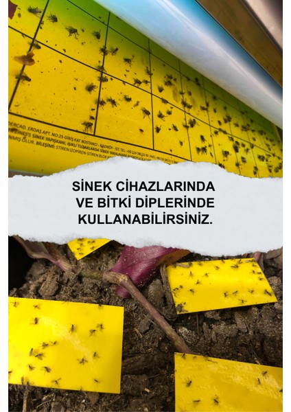 Yapışkanlı Sinek Tutucu Bant Levha 30X60cm 10 Adet - Yapışkan Plaka Sinek Cihazı Yapışkanı - Sinek Yakalama Yapışkan Plaka
