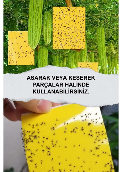 Yapışkanlı Sinek Tutucu Bant Levha 30X60cm 10 Adet - Yapışkan Plaka Sinek Cihazı Yapışkanı - Sinek Yakalama Yapışkan Plaka