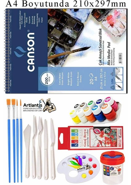 Canson Çok Amaçlı Sanatsal Blok A4 200 gr 20 Yaprak 1 Adet 10 Renk Guaj Boya Fırça Palet Spatula Fırça Temizleme Kabı