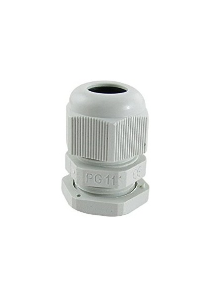 Rakor Pg