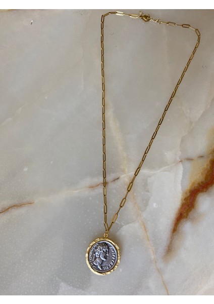 Antik Para Madalyon Çelik Gold Kolye fiyatları