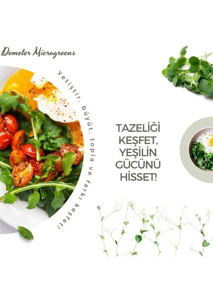 Tohum Filizlendirme ve Çimlendirme, Mikro Yeşillik Yetiştirme Tepsisi, Bpa Içermeyen Plastikten indirimleri