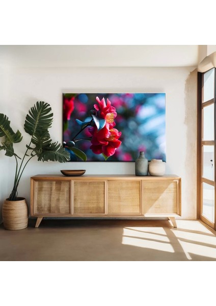 Kamelya Çiçeği Kanvas Tablo