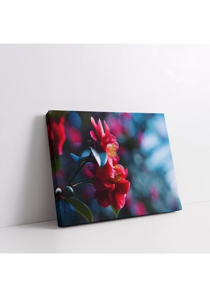 Kamelya Çiçeği Kanvas Tablo fiyatları