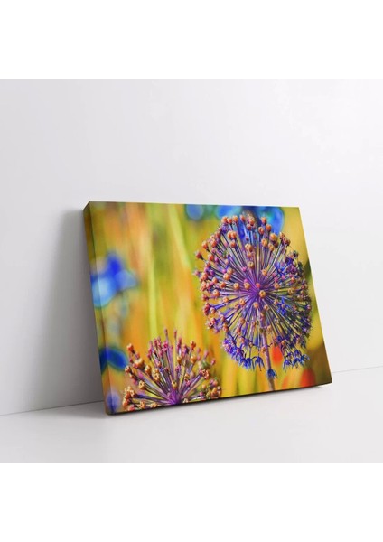 Karahindiba Kanvas Tablo fiyatları