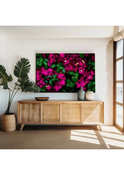 Begonvil Çiçeği Kanvas Tablo
