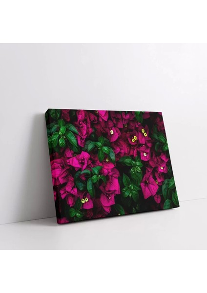 Begonvil Çiçeği Kanvas Tablo fiyatları