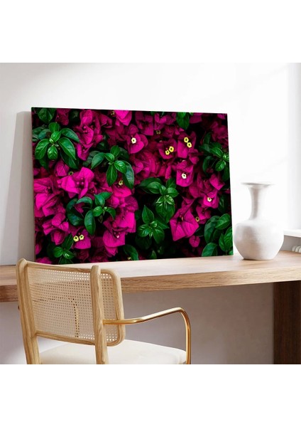 Begonvil Çiçeği Kanvas Tablo modelleri