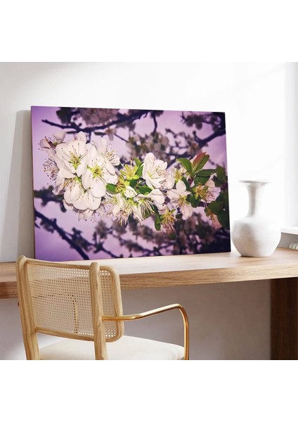 Beyaz Erik Çiçekleri Kanvas Tablo modelleri