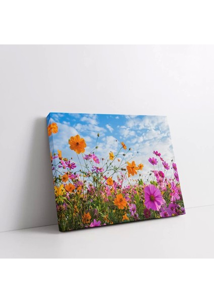 Rengarenk Çiçek Tarlası Kanvas Tablo fiyatları