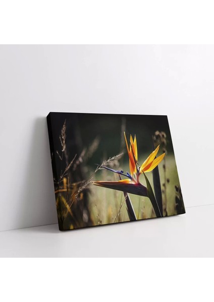 Starliçe Çiçekler Kanvas Tablo fiyatları