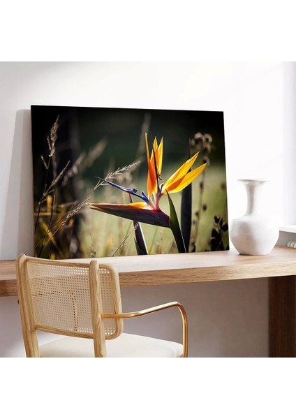 Starliçe Çiçekler Kanvas Tablo modelleri