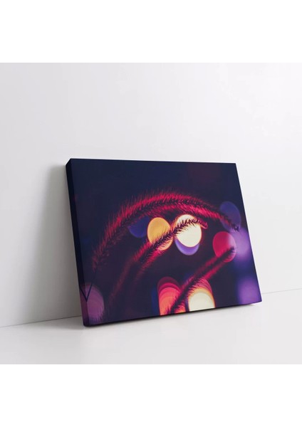 Daldaki Işık Kanvas Tablo fiyatları